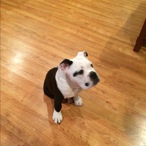 Meet your Posher, Nathan